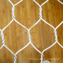Anping Tianyue quente mergulhado galvanizado rede de fio hexagonal (TYE-05)
